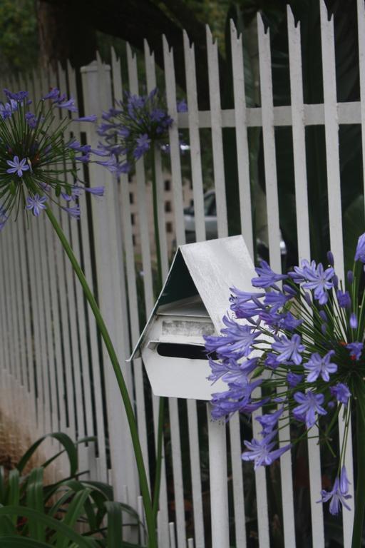 Meander In Bed & Breakfast Howick Bagian luar foto